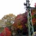 IMG_1579.JPG.thumb.