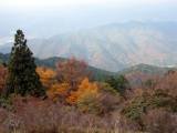 IMG_1590.JPG.thumb.