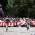 IMG_1050
