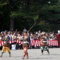 IMG_1065