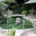 IMG_0869