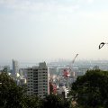 IMG_0870