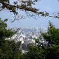 IMG_0877