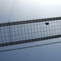 IMG_0880