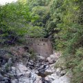 IMG_0882