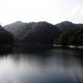 IMG_0885