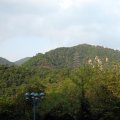 IMG_0905