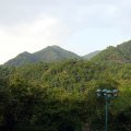 IMG_0906