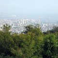IMG_0911