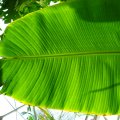IMG_0912