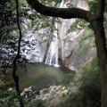 IMG_0924