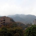 IMG_1666