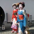 IMG_0954