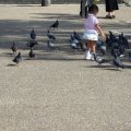 IMG_0957