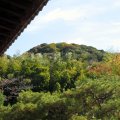 IMG_1551