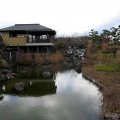 IMG_1720