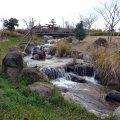 IMG_1724
