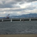 IMG_1752