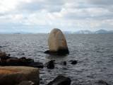 IMG_1736.JPG.thumb.