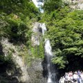 IMG_0699