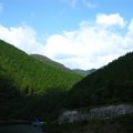 IMG_0708