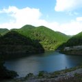 IMG_0709