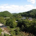 IMG_0734