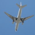 IMG_0597