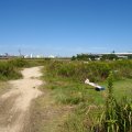 IMG_0802