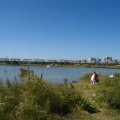 IMG_0803