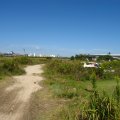 IMG_0805