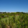 IMG_0806