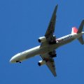IMG_0807