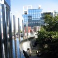 IMG_0817