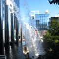 IMG_0818