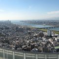 IMG_0828p