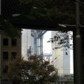 IMG_1504