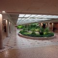 IMG_1507
