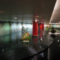 IMG_1510