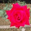 PB291006-126.JPG.thumb.