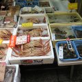 IMG_1672
