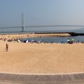 IMG_2638p