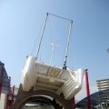 IMG_2652