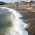 IMG_2661