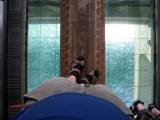 IMG_2622.JPG.thumb.
