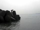 IMG_2664.JPG.thumb.
