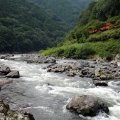 IMG_3223