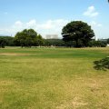 IMG_2971