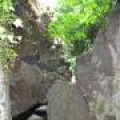 IMG_2986.JPG.thumb.