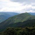 IMG_3309